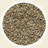 Nasiona wiechliny łąkowej, fot. www.granumfn.pl