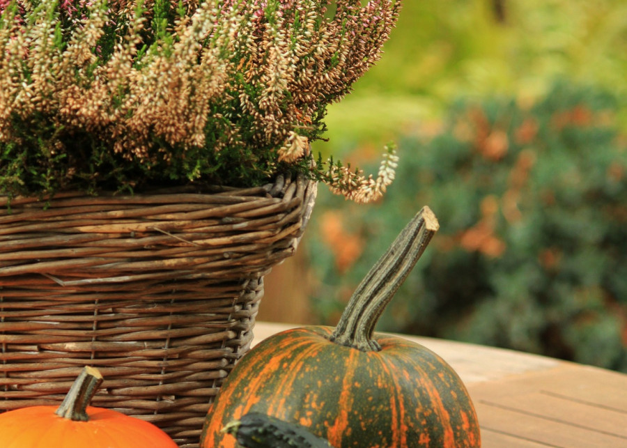 Jak zrobić jesienny stroik cocoparisienne Pixabay
