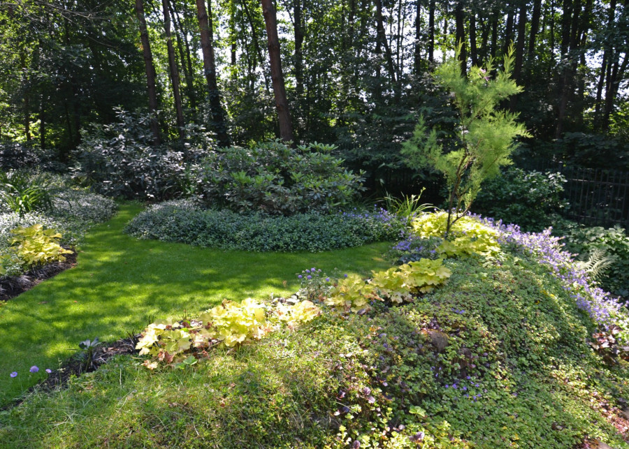 Ogród w układzie tarasowym pod sosnami, fot. Bożena Strzyżewska i Andrzej Krupa