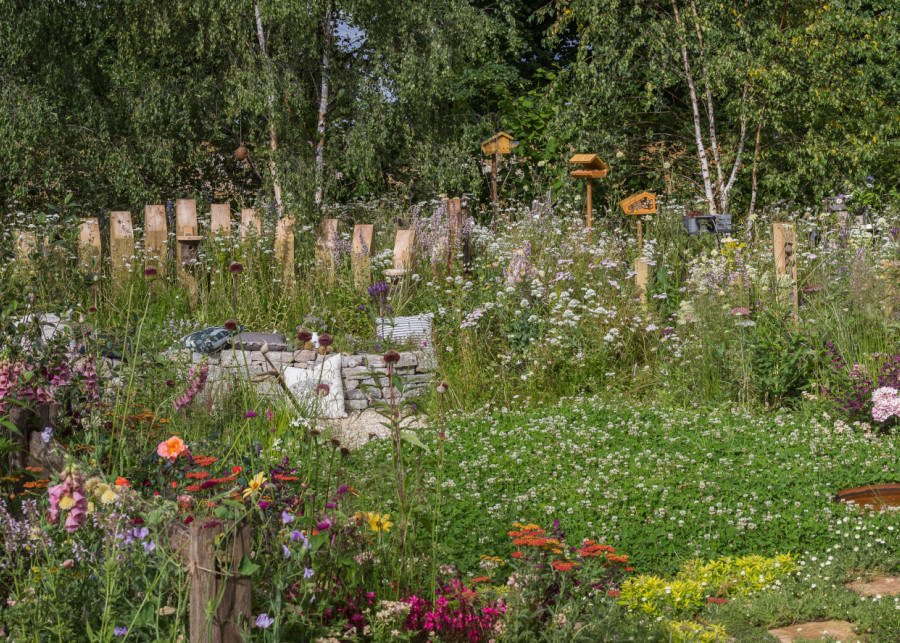 Ogrody z RHS Hampton Court Palace Garden Festiwal fot. Tomek Ciesielski 