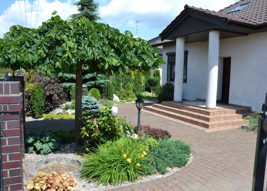 kwitnący ogród z formowanymi krzewami fot. Krzysztof Mielicki