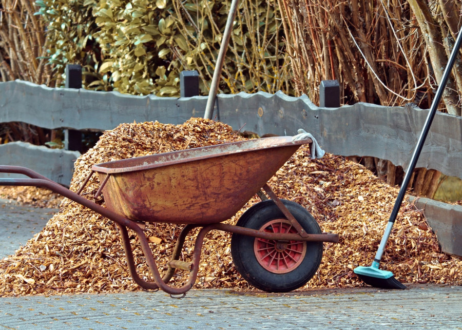 Jesienne vademecum ogrodnika, fot. Manfred Richter - Pixabay