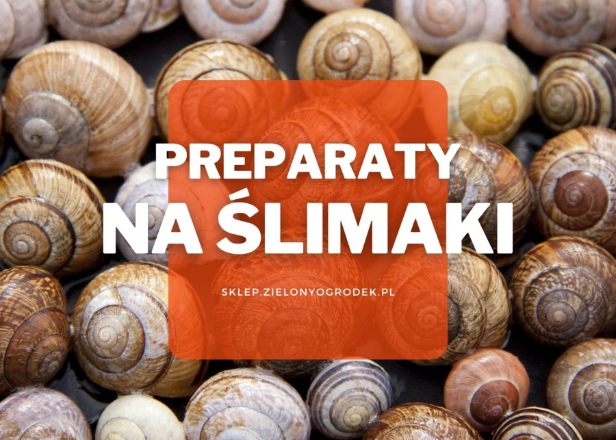 Polecane produkty preparaty skuteczne na ślimaki