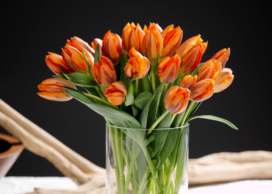 bukiet tulipanów - Fot. materiały prasowe / iBulb 
