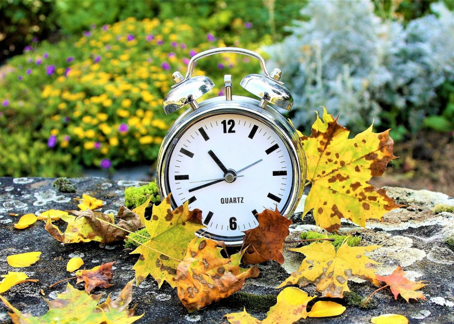 Jesień w ogrodzie - co robić fot. pasja1000 - Pixabay