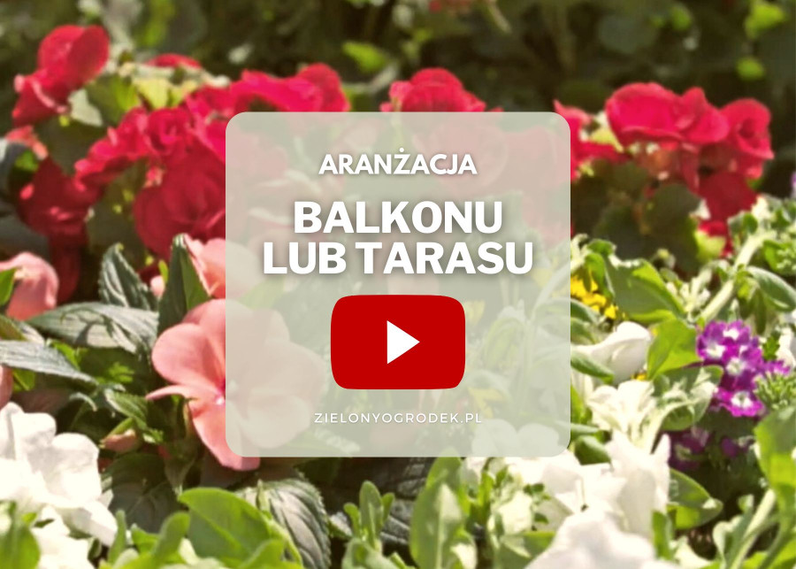 FILM: Jak zaaranżować piękny taras/balkon?