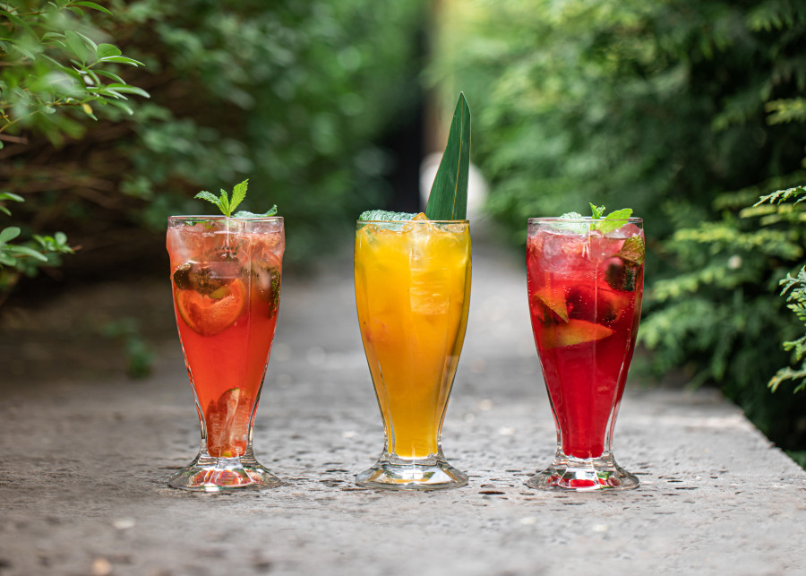 Przepisy na domowe drinki z ogródka