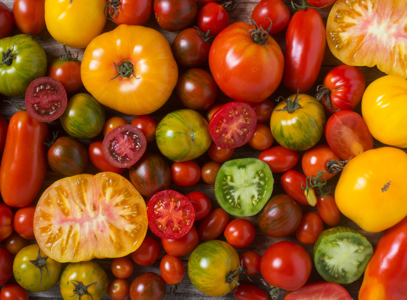 Wyhoduj pyszne i zdrowe pomidory bez chemii i sztucznych nawozów. Jak? Naturalnie