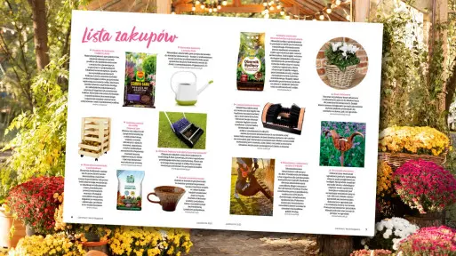 Co warto kupić do ogrodu w październiku? Te rzeczy przydadzą się bardziej, niż myślisz