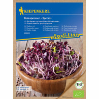 Rzodkiewka czerwona (Radies Rot) – nasiona na kiełki