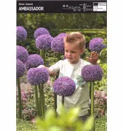 Czosnek 'Ambassador' – 1 szt