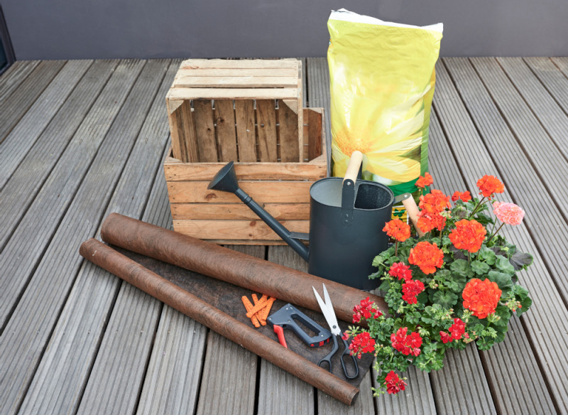 Ogrod wertykalny potrzebne materiały fot. Pelargonium for Europe
