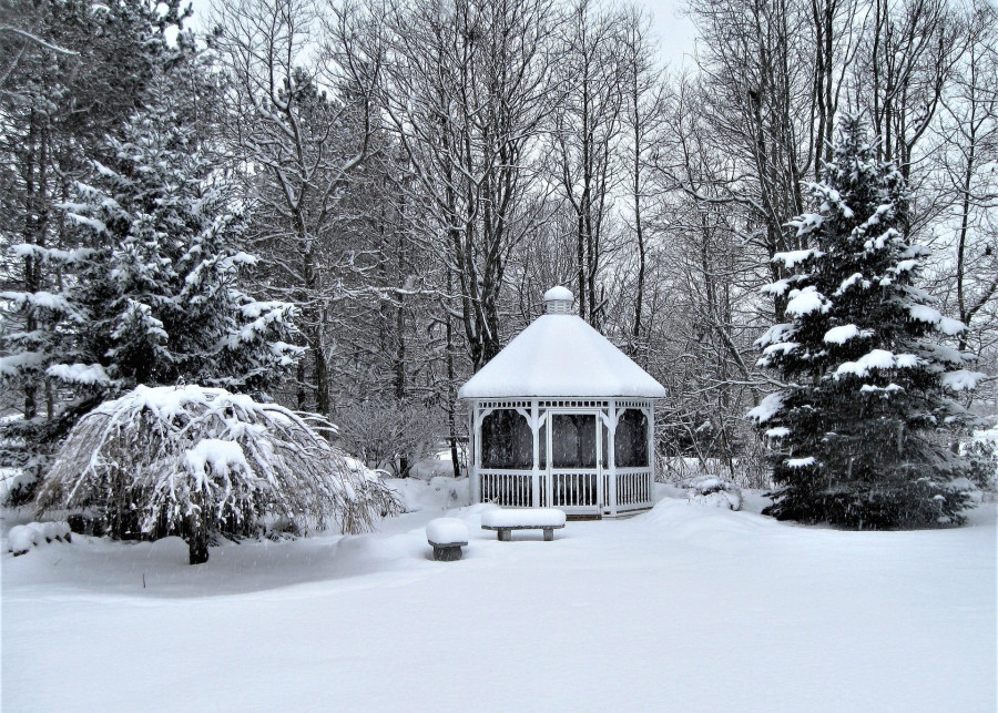 Zima i ogród: jakie zabiegi trzeba wykonać, fot. Scottslm - Pixabay