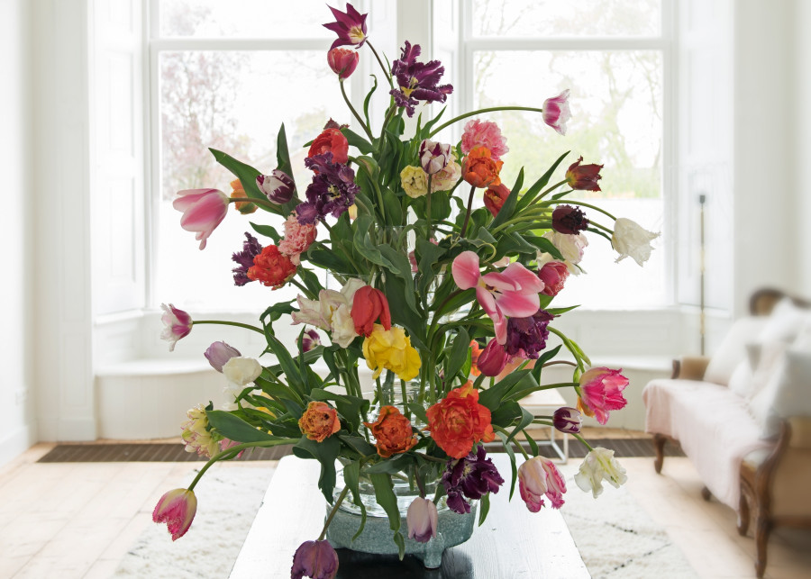 8 zasad, jak przedłużyć świeżość kwiatów ciętych, fot. Flower Council Holland