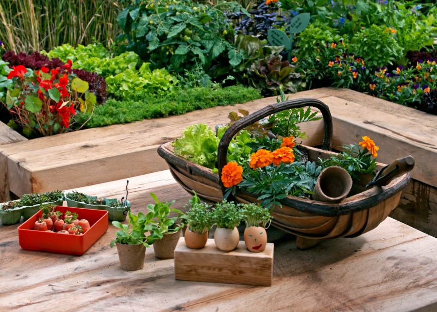 10+ pomysłów na mini-ogródek warzywny Depositphotos