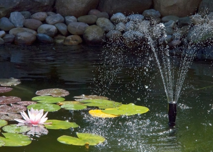 Jak zrobić oczko wodne w ogrodzie, fot.derplani - Pixabay