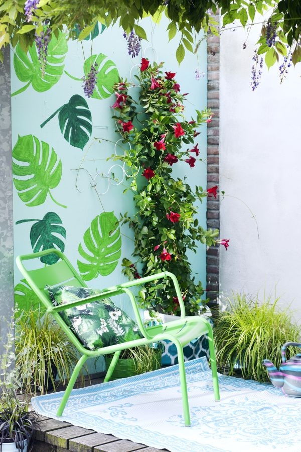 Mandewilla pnacze na balkonie, fot. Flower Council Holland