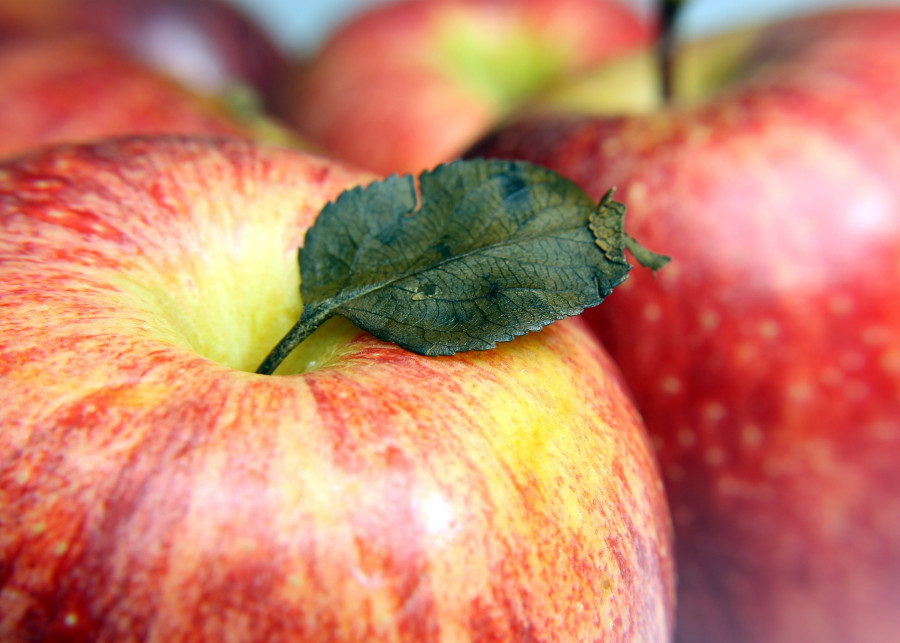 światowy dzień jabłka 2020 fot. Adriano Gadini Pixabay