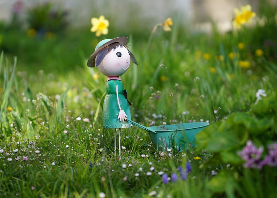 Jak przygotować ogród do nowego sezonu, fot. Pantea Adrian - Pixabay