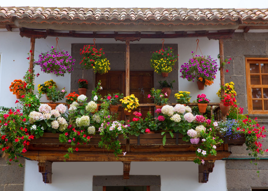 Jak urządzić piękny balkon pełen kwiatów