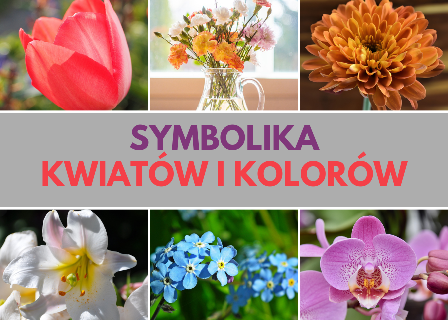 Symbolika roślin - znaczenie najpopularniejszych kwiatów i ich kolorów fot. Pixabay