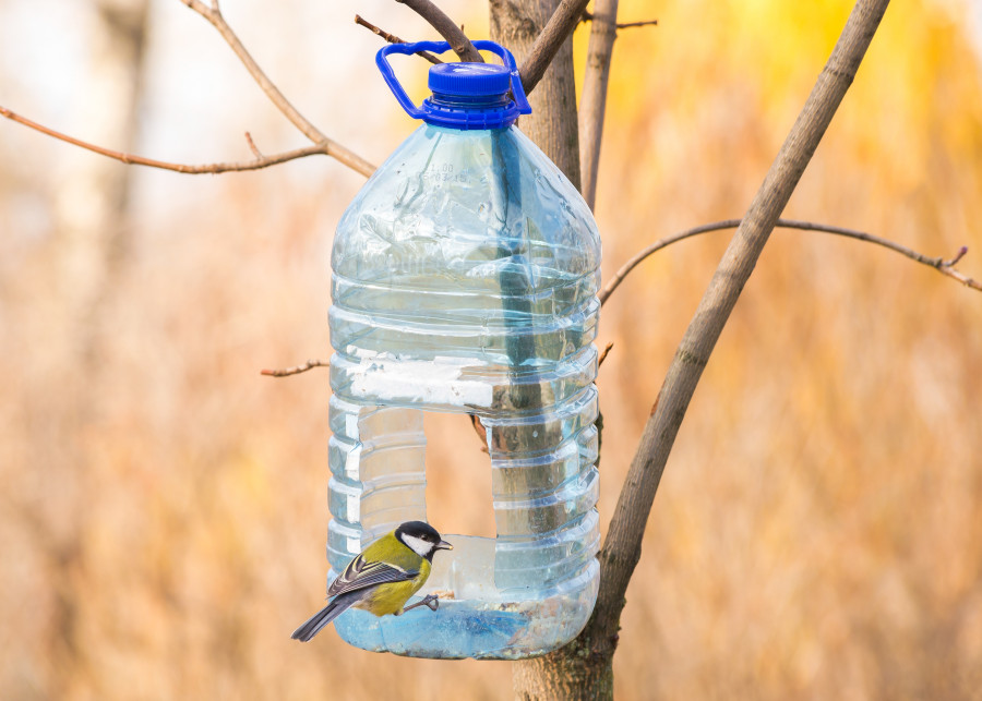 Karmnik dla ptaków z plastikowej butelki