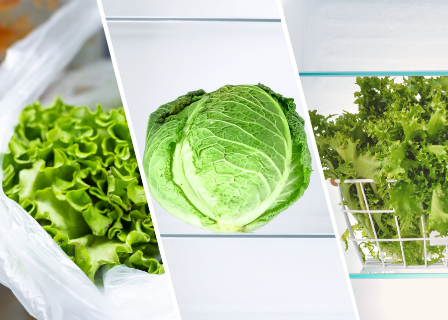 Jak przechowywać salate w lodowce metody i triki, AdobeStock