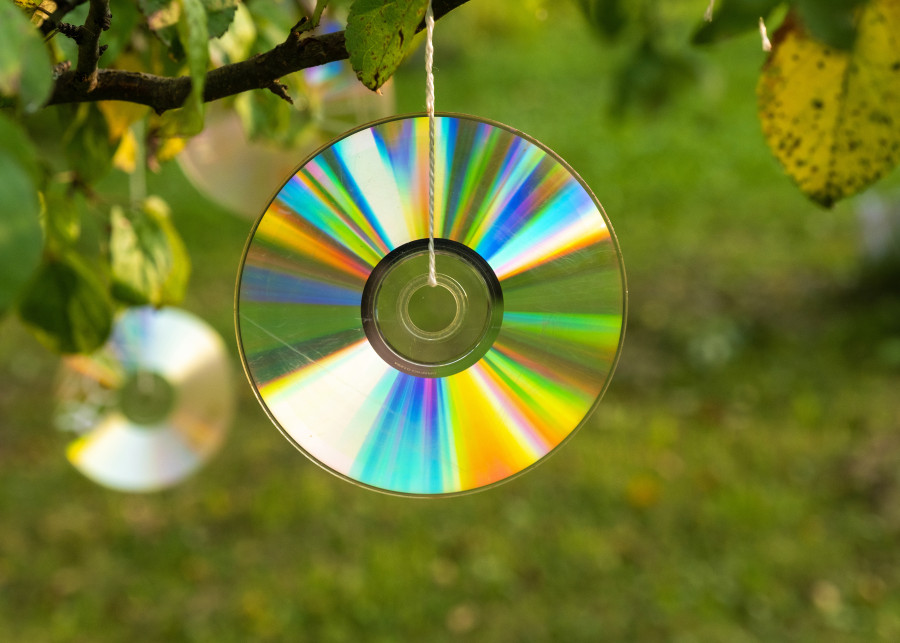 Zawieś płyty CD na drzewach