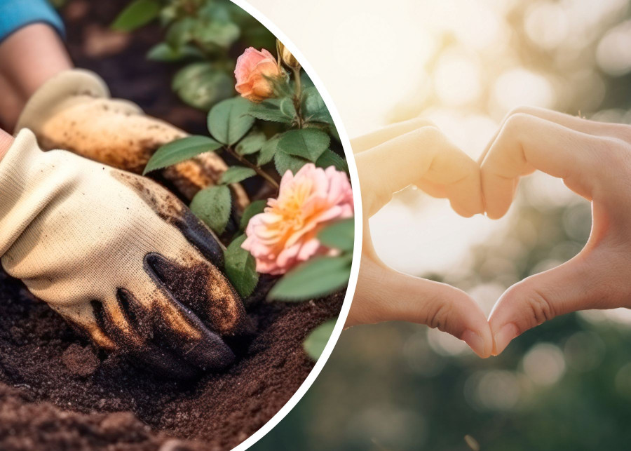 Jak chronić dłonie przy pracach ogrodowych