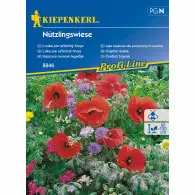 Łąka kwiatowa dla pożytecznych owadów – Nutzlingswiese