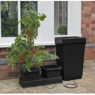 Easy 2 Grow – zestaw do uprawy – Garland